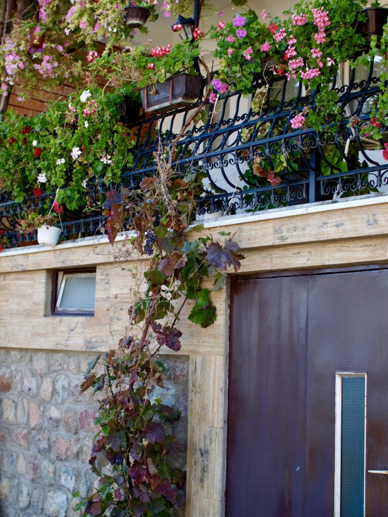 flowers and vines on a balcony terrace in Ohrid Old Town