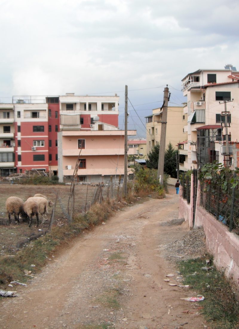 The Time We Shopped in a Military Compound Run by Missionaries on the Outskirts of Tirana Because We Wanted Canned Pumpkin