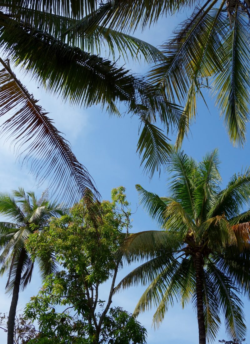 I Drank Swamp Cooler Water and I’m Just Fine: How My Broken AC Washed my Clothes