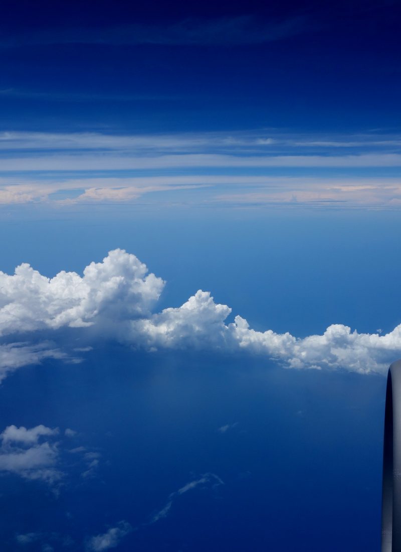 Summertime, Losing the Artist’s Way, and Finding the Fault in Our Stars