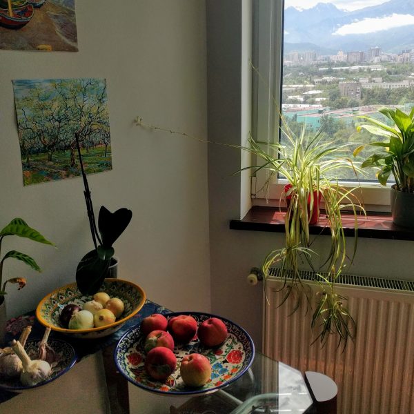 A Jehovah’s Witness Stealing a Piece of My Spider Plant at McDonald’s Was My Last Normal Pre-Pandemic Interaction with a Stranger