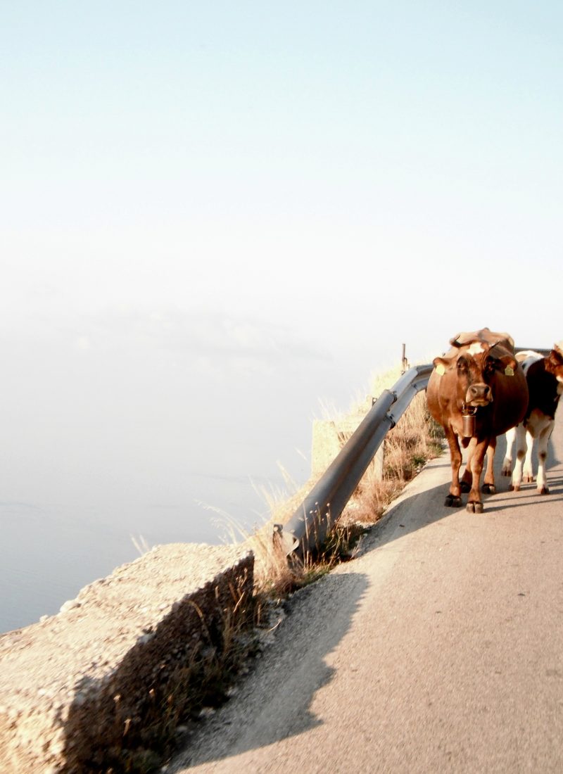 Tirana to Saranda Part 2: A Road Trip in the Sky, Following the Sea