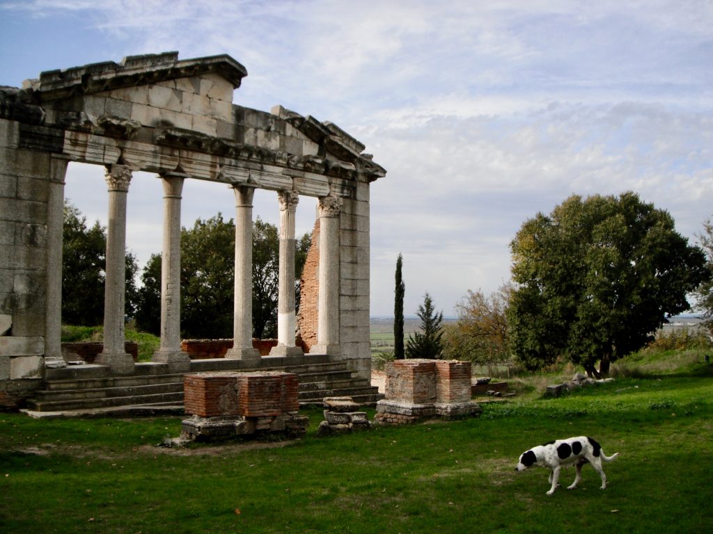 The 580 BCE ruins of Apollonia in Fier, Albania. 