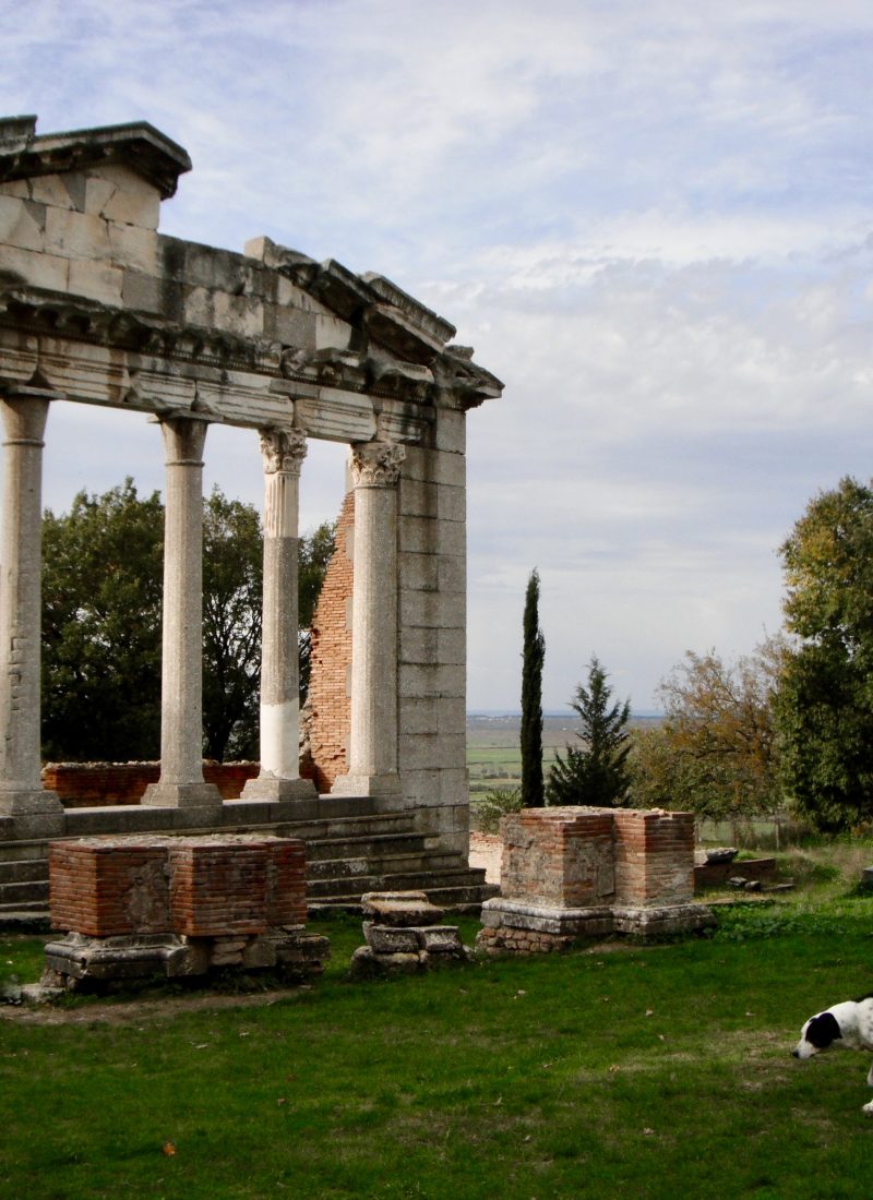 Let’s Meet Up in Albania and Do Too Much to Write About