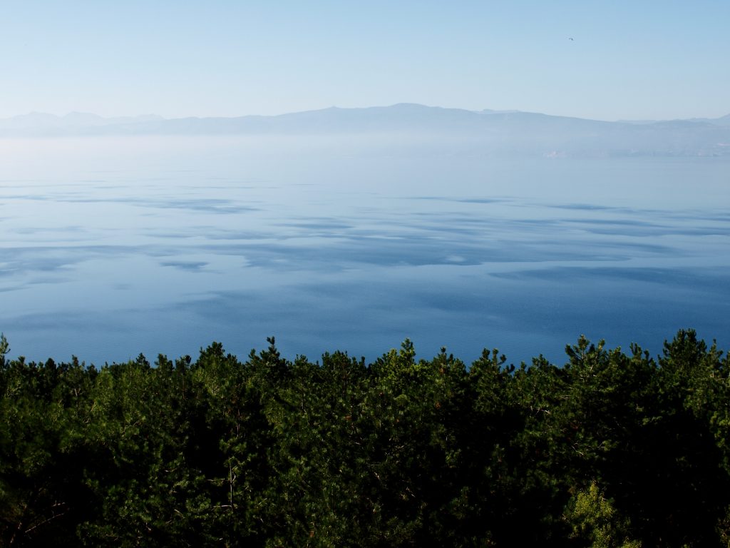 View of Lake Ohrid over the trees