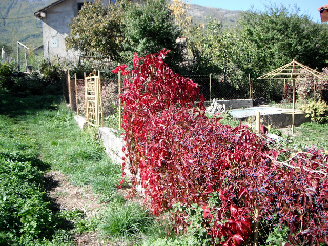 The gardens of the homes in Vishni, Macedonia as you start the hike to St. Spas cave church.