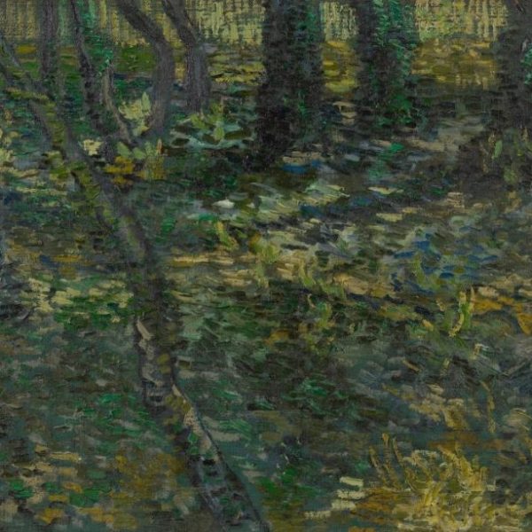 The Yellow House: A Meditation on Mental Health at the  Van Gogh Museum in Amsterdam